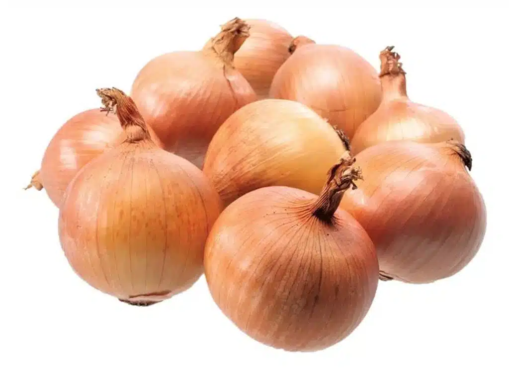 Fresh Onions